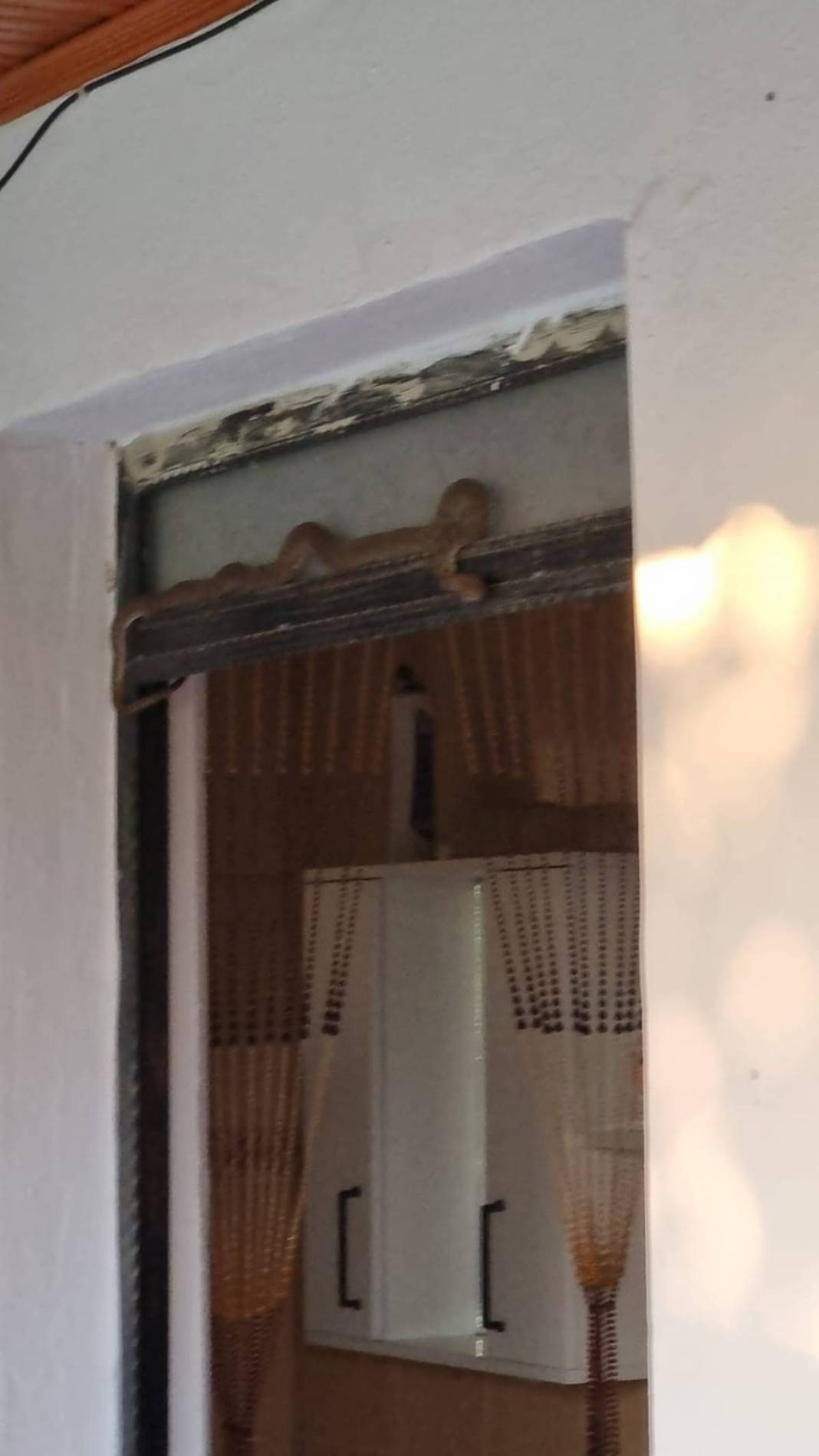 O kentte evlerden yılan fışkırıyor! İtfaiye ekipleri yoğun 'yılan' mesaisi yapıyor 9